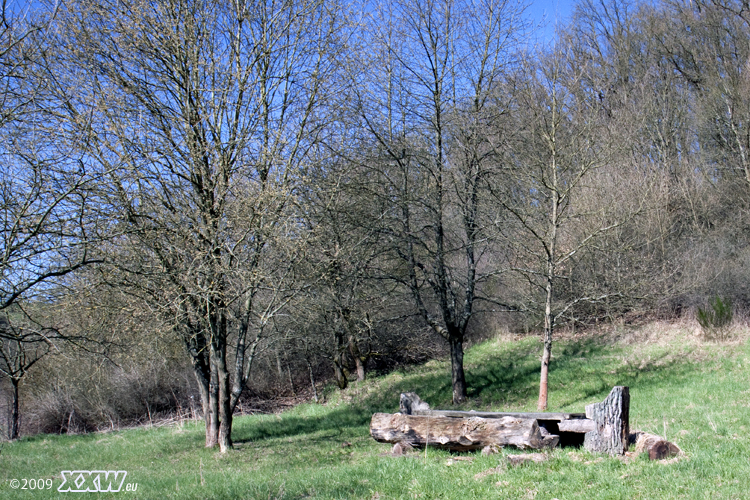 rustikaler tisch und bänke