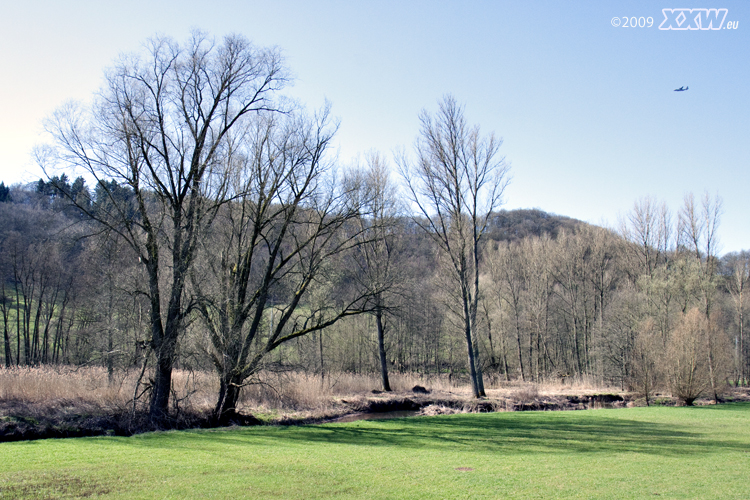 in den hirschhorner auen