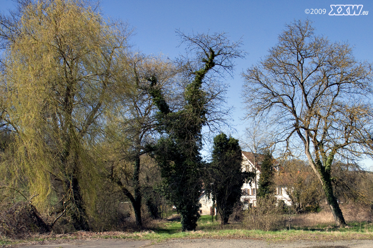 hof bei frankelbach