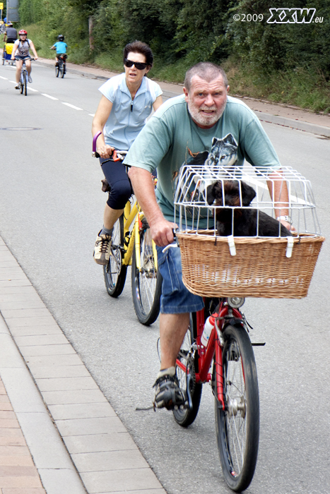 auch tiere sind dabei