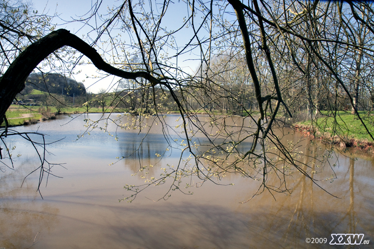 der landschaftsweiher