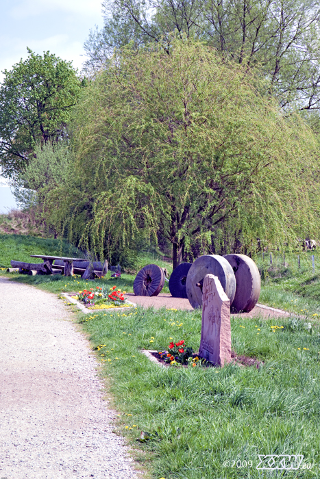 frisches grün im ottertal