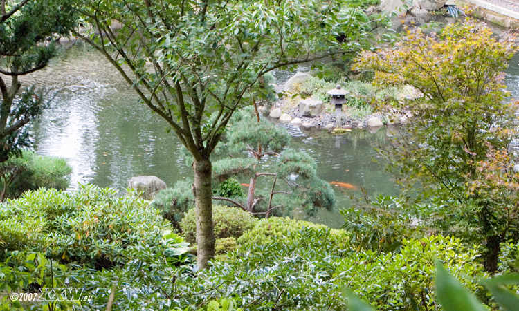 der see von oben