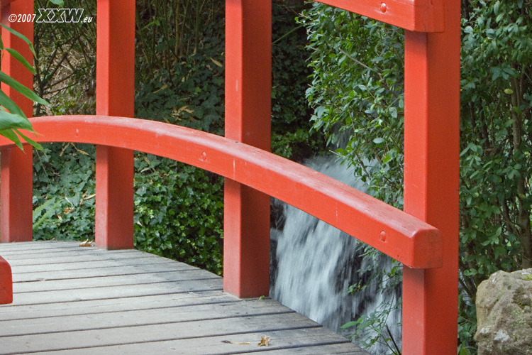brücke im japanischen garten