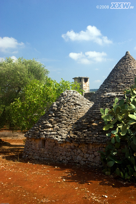immer wieder tauchen in den olivenhainen halb verfallene trulli rustico auf