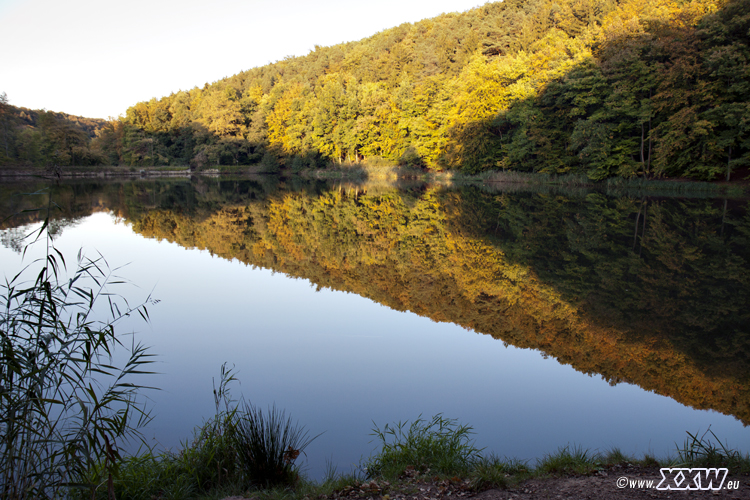 der badweiher