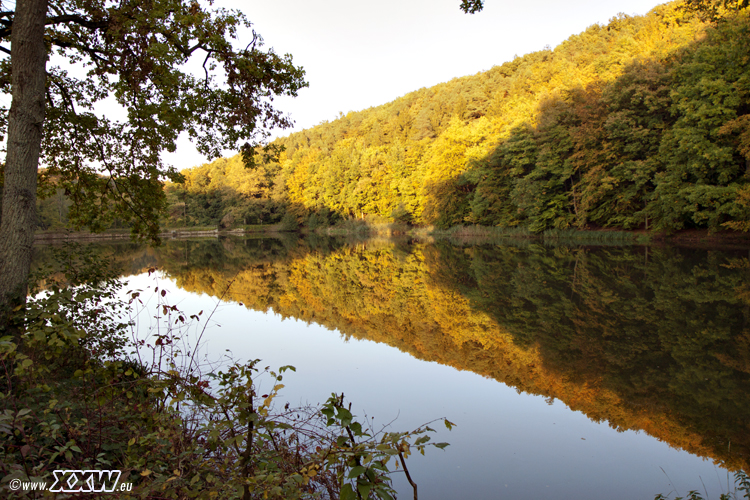 der badweiher