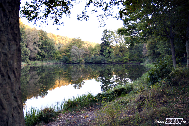 der schafweiher
