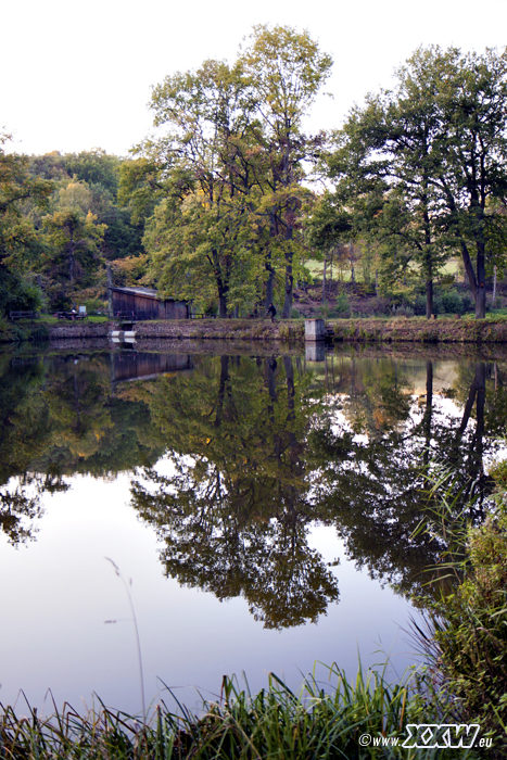 der schafweiher