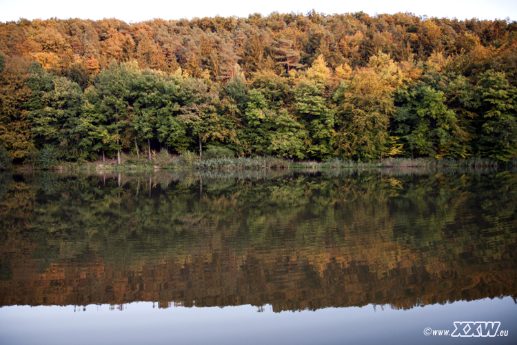 der badweiher