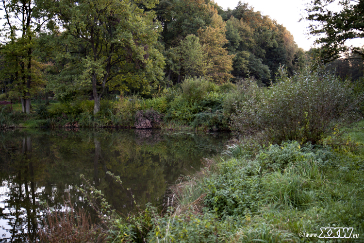 der badweiher