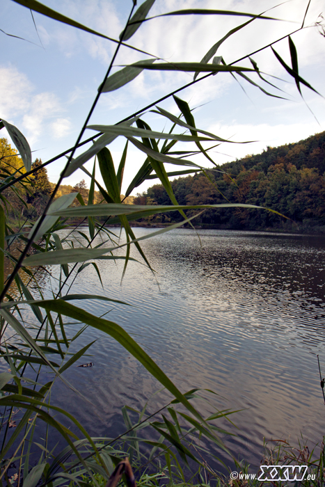 der badweiher