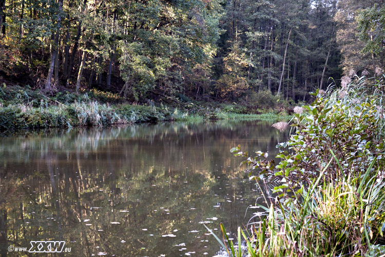 der zuchtweiher