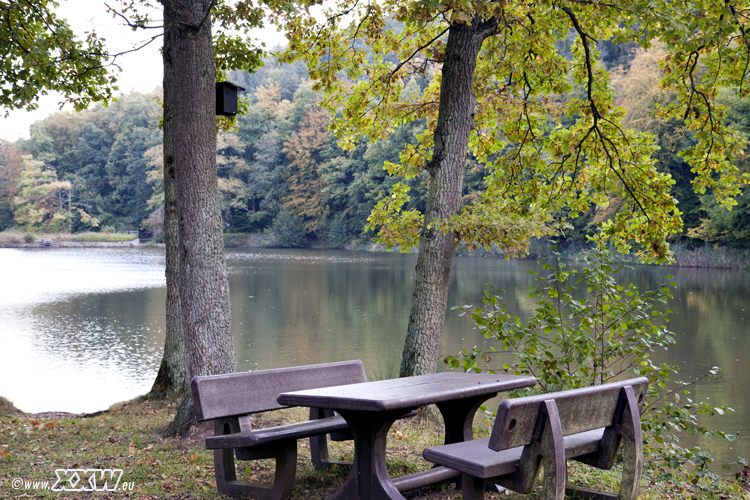 der badweiher
