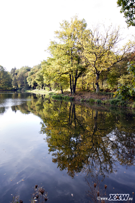 der schafweiher
