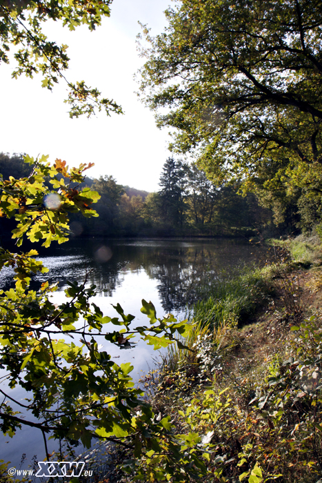 der schafweiher