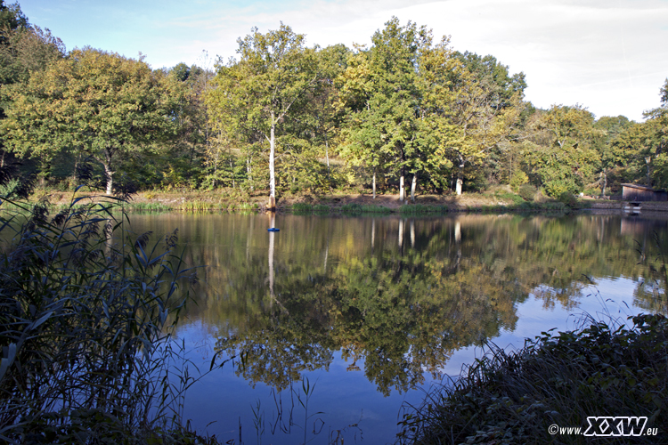 der schafweiher