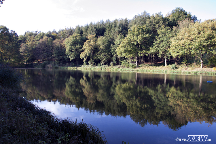 der schafweiher