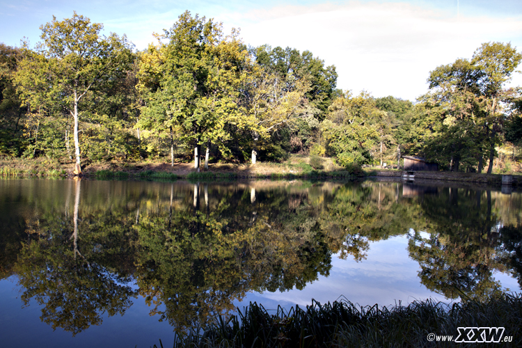 der schafweiher