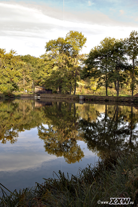 der schafweiher
