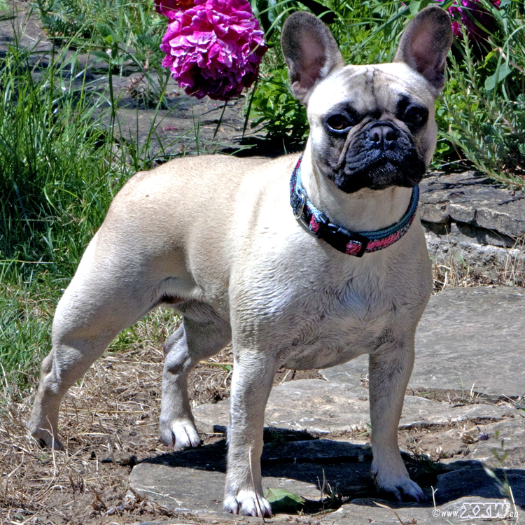 betty