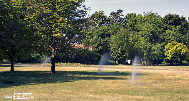 der park