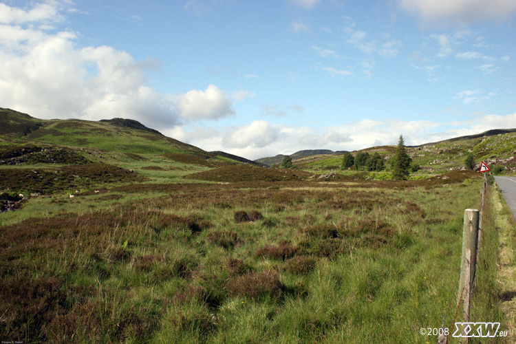 typische moorlandschaft in den highlands