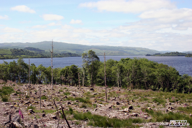 loch awe