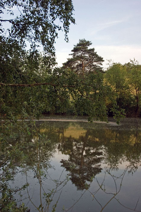 landschaftsspiegel