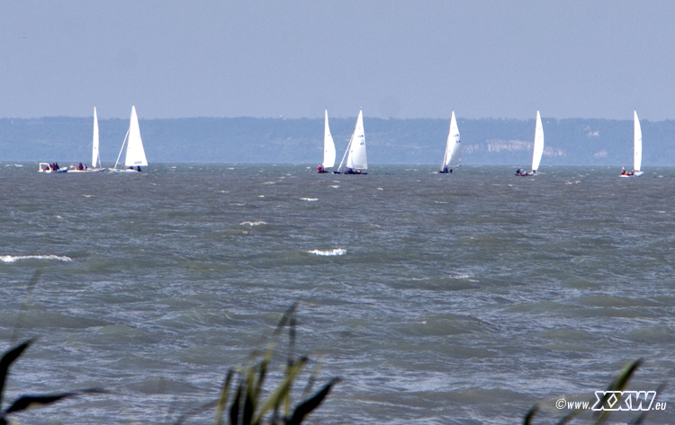regatta