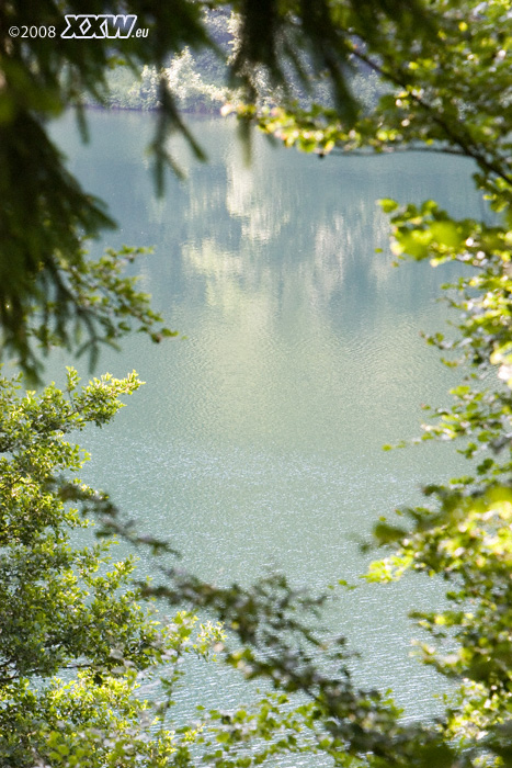 blick auf das weinfelder maar