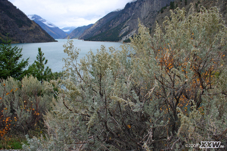 in den rocky mountains.