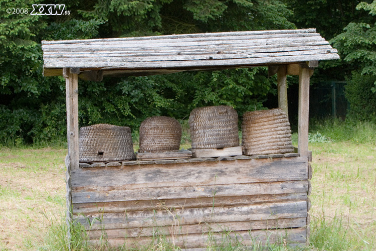 keine bienen da!