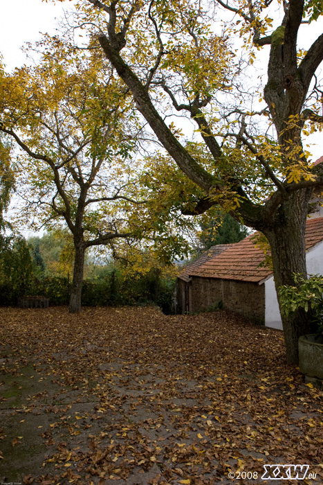 ein hof in relsberg
