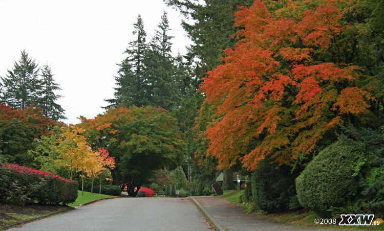 indian summer in vancouver