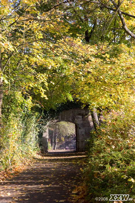 herbstspaziergang
