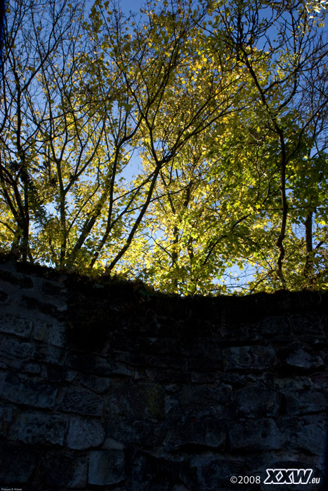 tolles herbstwetter