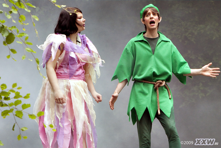 die elfe und peter pan