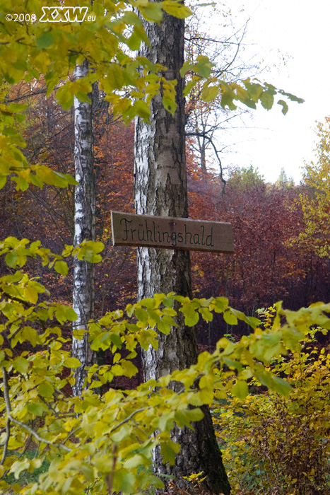 herbst an der frühlingshald