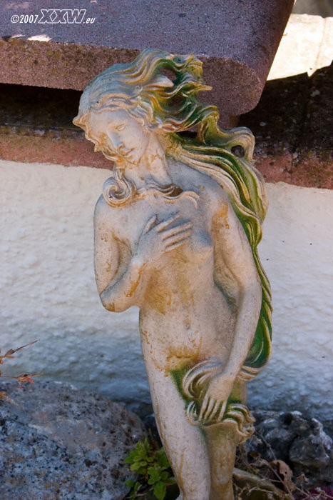 eine kleine venus