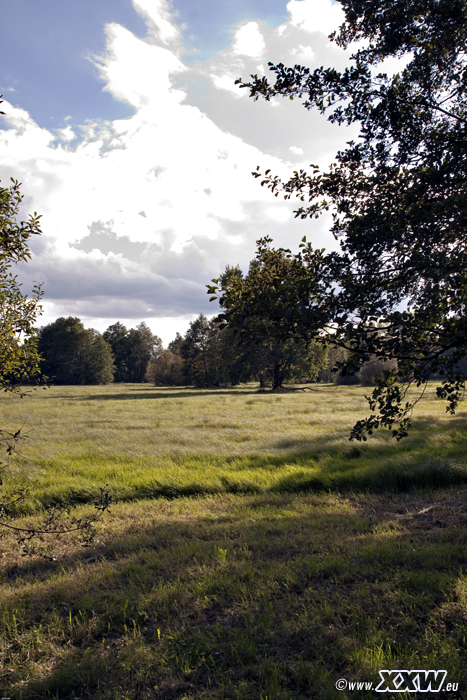 aulandschaft