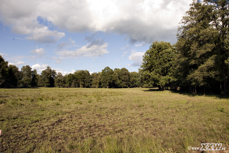 aulandschaft