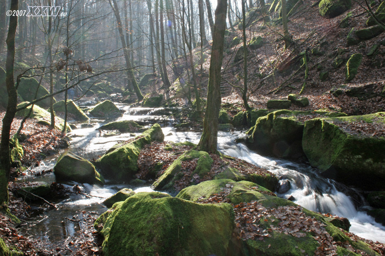 morgenwanderung
