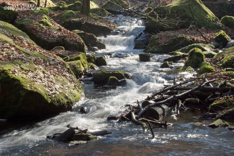 morgenwanderung