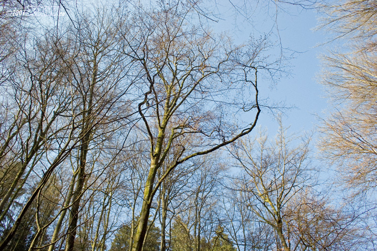 wolkenlos