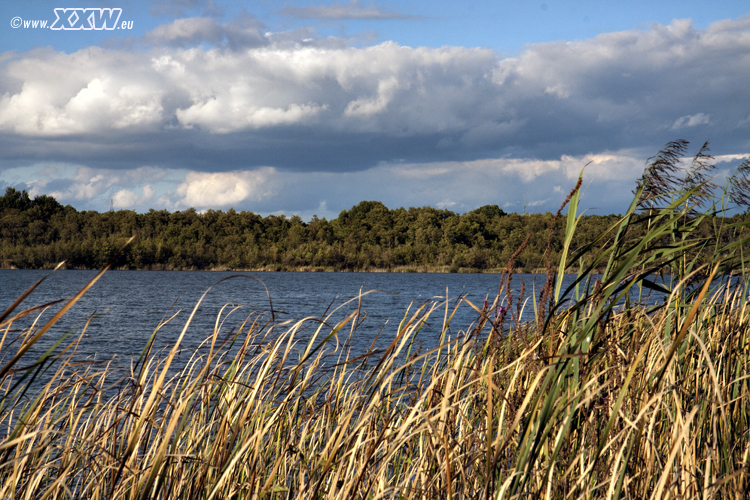 am see