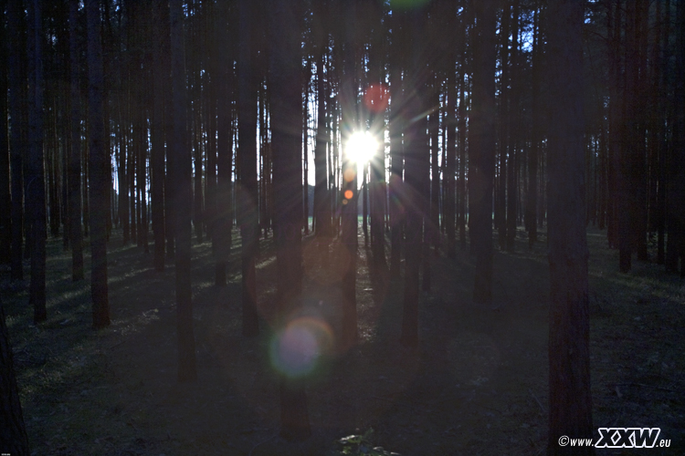 sonnenstrahlen