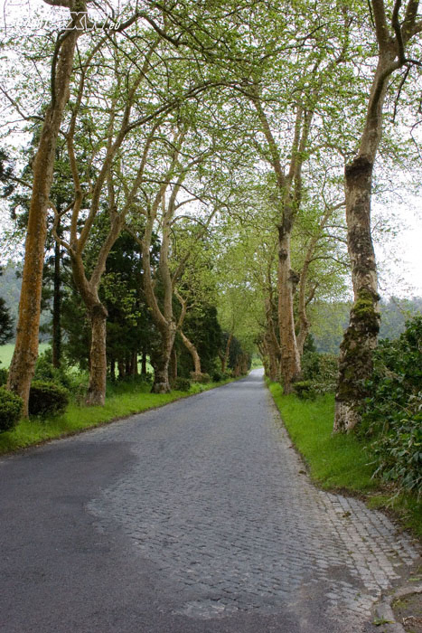 allee
