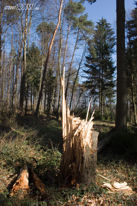 naturgewalten.