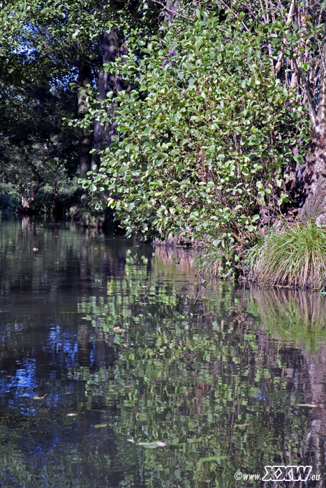 mit dem paddelboot unterwegs